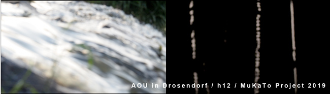 AOU in Drosendorf