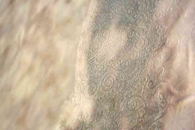 Karoline Riha_Glue Print